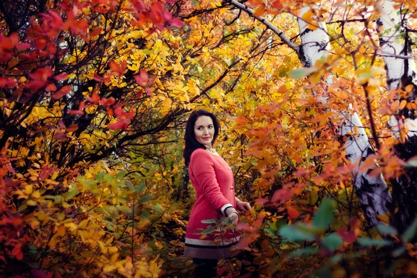 가 숲에서 아름 다운 소녀 — 스톡 사진