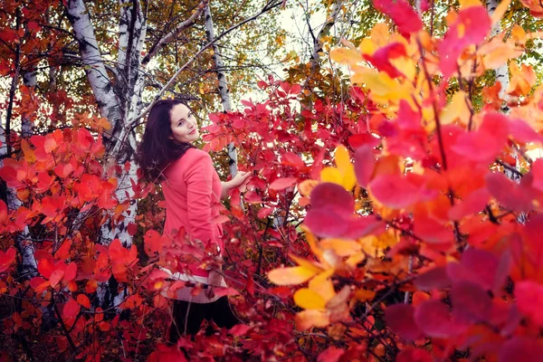 Mooi meisje in herfst bos — Stockfoto