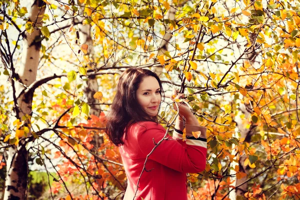 Mooi meisje in herfst bos — Stockfoto