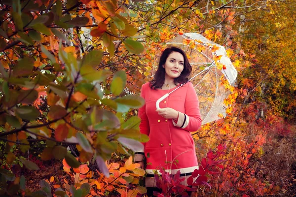 Mooi meisje in herfst bos — Stockfoto