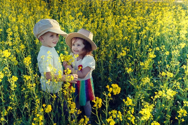 Meeting in the field — Stock Photo, Image