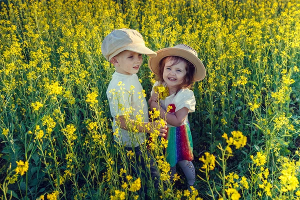 Meeting in the field — Stock Photo, Image