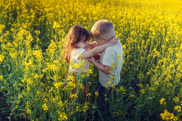 Treffen auf dem Feld — Stockfoto