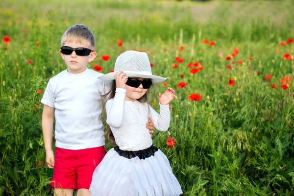 Field with poppies — Stock Photo, Image