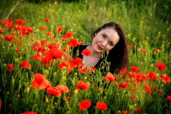 Veld met papaver — Stockfoto