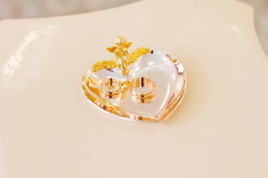 Yeni evli evlilik kayıt odasında halkaları