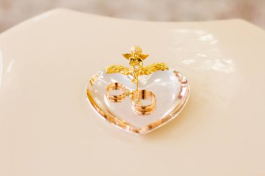 Yeni evli evlilik kayıt odasında halkaları