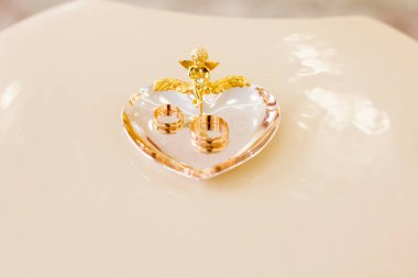 Yeni evli evlilik kayıt odasında halkaları