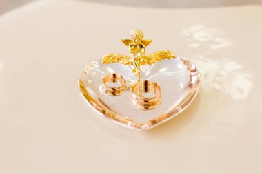 Yeni evli evlilik kayıt odasında halkaları