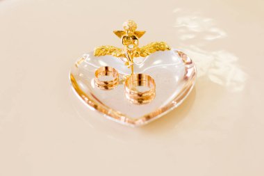 Yeni evli evlilik kayıt odasında halkaları