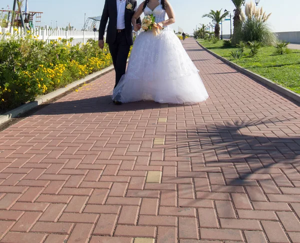 Happy bride and groom — Stock Photo, Image
