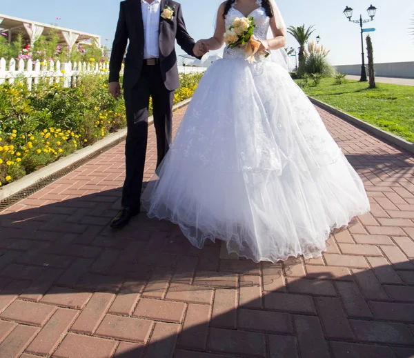 幸せな花嫁と花婿 — ストック写真