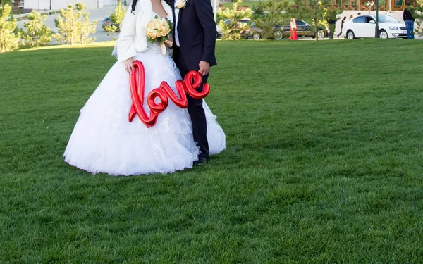 Novia y novio felices —  Fotos de Stock