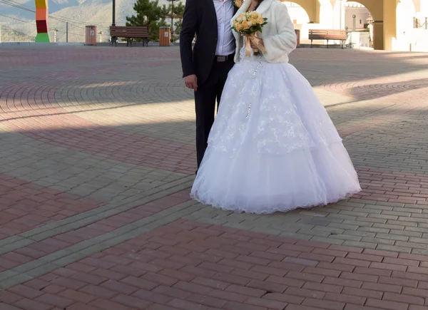 Novia y novio felices — Foto de Stock