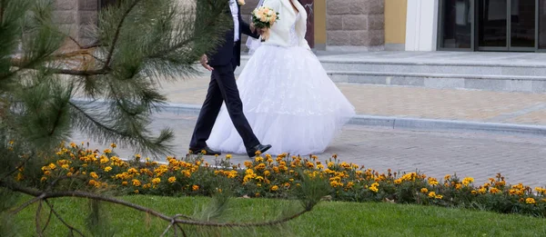 Novia y novio felices — Foto de Stock