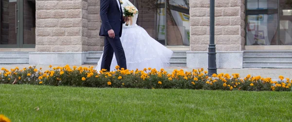 幸せな花嫁と花婿 — ストック写真