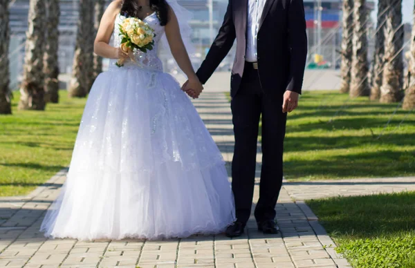 Glückliche Braut und Bräutigam — Stockfoto