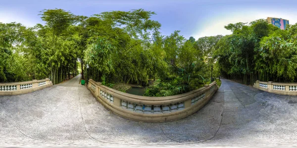 Hermosa vista del arboreto y la naturaleza (Dendrarium ) — Foto de Stock