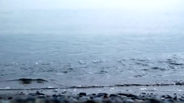 Βραχώδης Ακτή Της Μαύρης Θάλασσας — Αρχείο Βίντεο