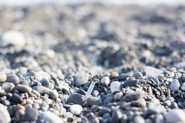 Environmental Pollution Cigarette Butt Left Beach — Foto Stock
