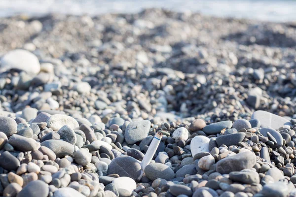 Environmental Pollution Cigarette Butt Left Beach — 스톡 사진