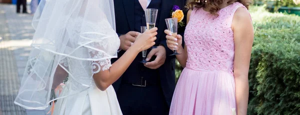 Les Jeunes Mariés Avec Invités Boivent Champagne — Photo