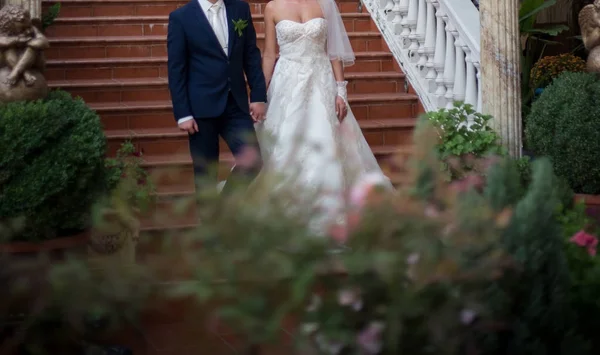 Šťastné Nevěsty Ženicha Svatební Procházka Parku — Stock fotografie