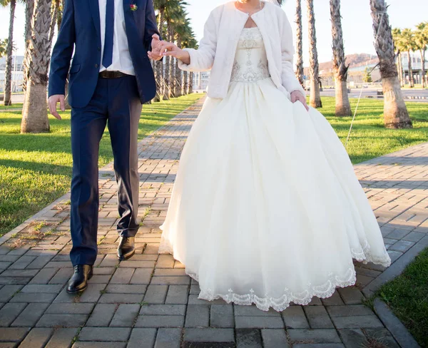 Novia Feliz Novio Paseo Boda Parque — Foto de Stock