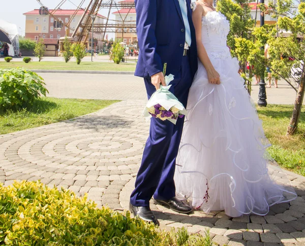 Gelin Damat Parkta Yürüyorlar — Stok fotoğraf