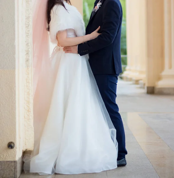 Novia Novio Están Caminando Parque —  Fotos de Stock