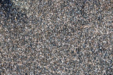 Karadeniz 'in Rocky Sahili