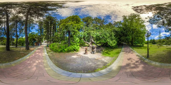 Vista Beatiful Arboretum Natureza Dendrarium — Fotografia de Stock