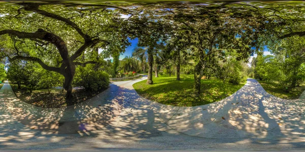 Beatiful View Arboretum Nature Dendrarium — Stock Photo, Image