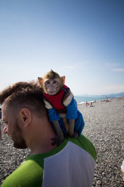 Denize yakın bir maymun adam