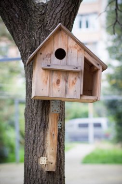 Ağaçtaki kuş evi.