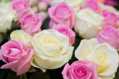 Farklı çiçek bir buket