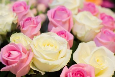 Farklı çiçek bir buket