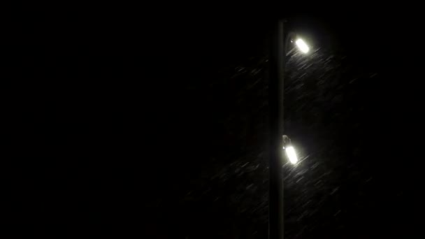 Neige Lumière Des Lampadaires Sur Une Rue Moderne — Video