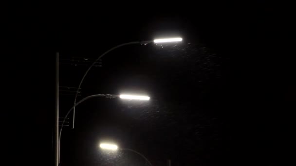 现代街道上的路灯下着雪 — 图库视频影像