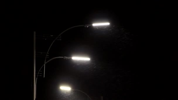 Snow Light Street Lamps Modern Street — Stock Video