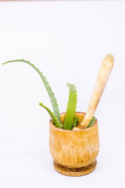 Aloe ahşap bir havan topuyla ayrılıyor.