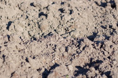 Zemin dokusu yakın çekim. Yere inmeden önce yat.