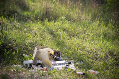 Ormanda çöp. Çevre kirliliği. İnsanlar piknikten sonra ormana çöp atar ve apartmandaki onarımlardan sonra inşaat malzemelerini çöpe atarlar. Troyeshchina, Kiev