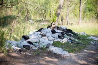 Ormanda çöp. Çevre kirliliği. İnsanlar piknikten sonra ormana çöp atar ve apartmandaki onarımlardan sonra inşaat malzemelerini çöpe atarlar. Troyeshchina, Kiev