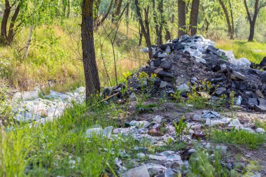 Ormanda çöp. Çevre kirliliği. İnsanlar piknikten sonra ormana çöp atar ve apartmandaki onarımlardan sonra inşaat malzemelerini çöpe atarlar. Troyeshchina, Kiev