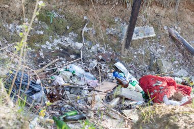 Ormanda çöp. Çevre kirliliği. İnsanlar piknikten sonra ormana çöp atar ve apartmandaki onarımlardan sonra inşaat malzemelerini çöpe atarlar. Troyeshchina, Kiev