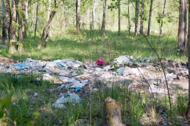 Ormanda çöp. Çevre kirliliği. İnsanlar piknikten sonra ormana çöp atar ve apartmandaki onarımlardan sonra inşaat malzemelerini çöpe atarlar. Troyeshchina, Kiev
