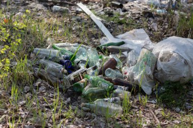 Ormanda çöp. Çevre kirliliği. İnsanlar piknikten sonra ormana çöp atar ve apartmandaki onarımlardan sonra inşaat malzemelerini çöpe atarlar. Troyeshchina, Kiev