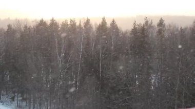 Hoş sürpriz evlenme teklifi.