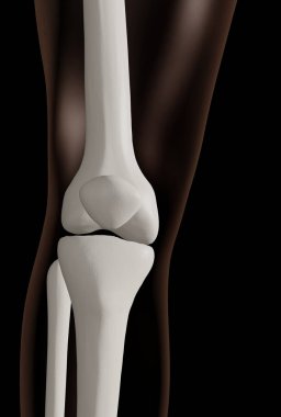 3d rendering of knee joint isolated over black background clipart